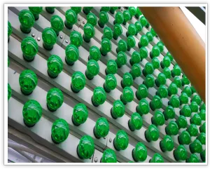 Close-up of green HiRoad-branded Ferris wheel light covers