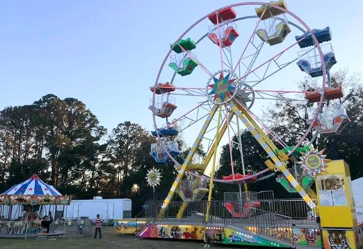 50-foot Gondola Ferris Wheel