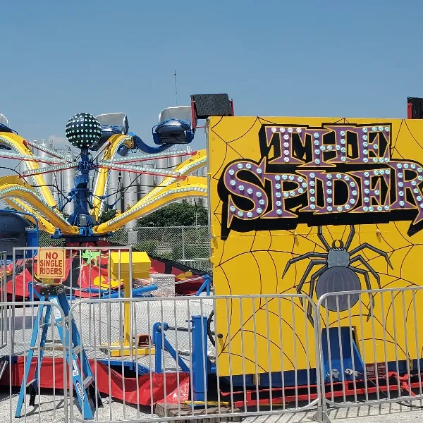 The Spider